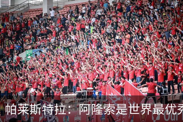 帕莱斯特拉：阿隆索是世界最优秀主帅之一，由他执教对我意义重大